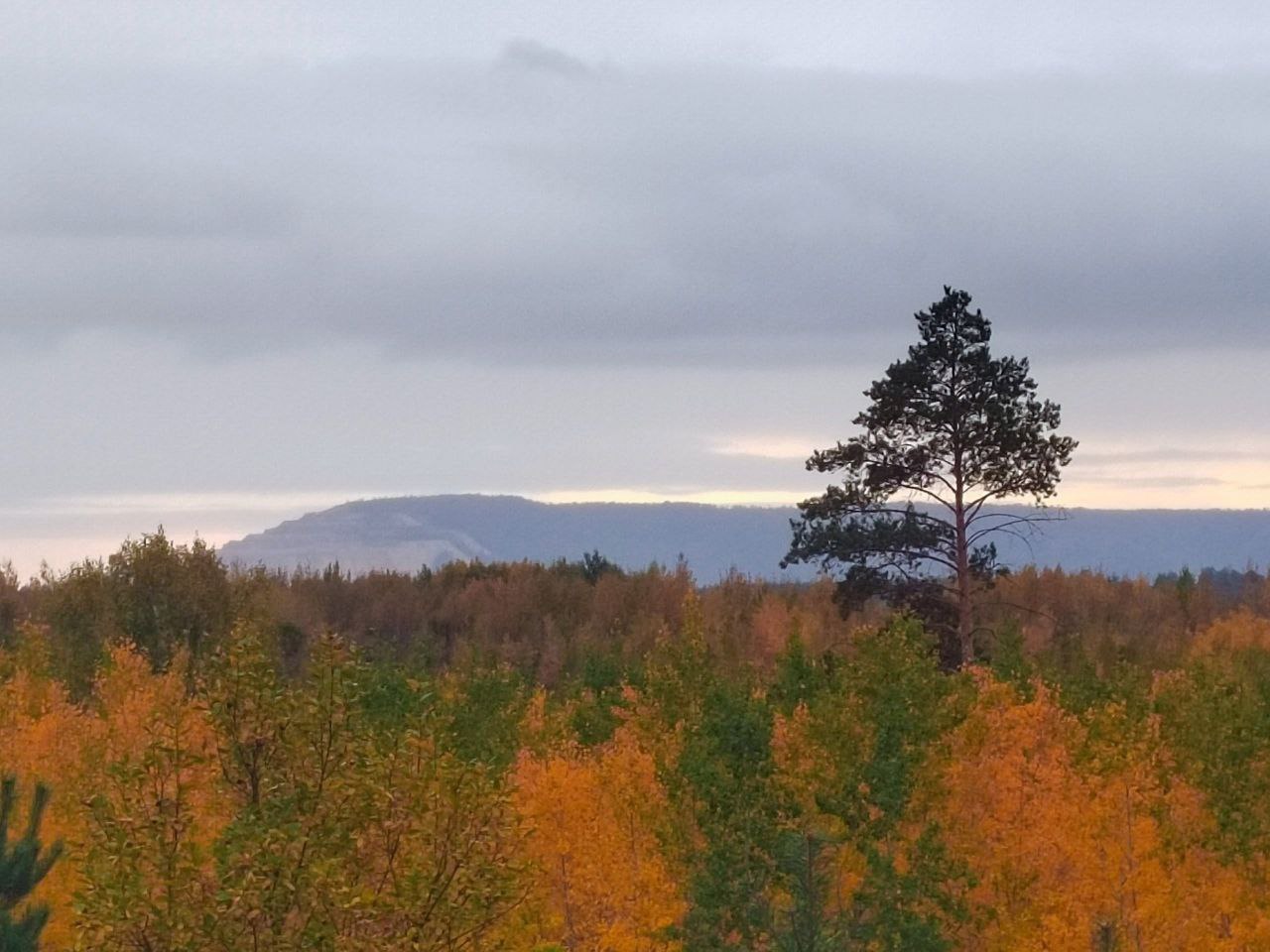 Доброе утро, Тольятти!. На календаре 5 ноября