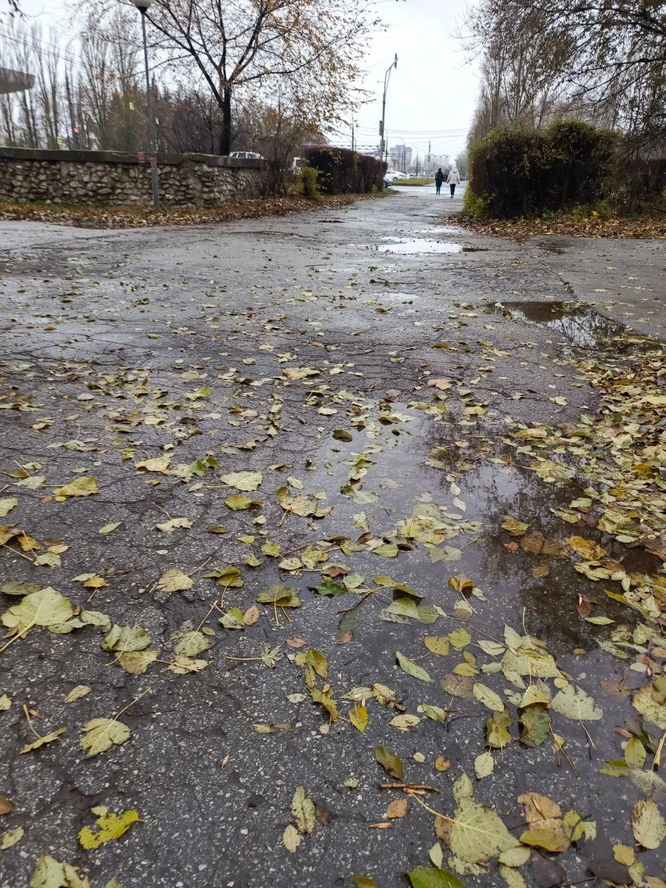 В Тольятти отремонтируют тротуар возле поликлиники №1 в 7 квартале В Тольятти отремонтируют тротуар возле поликлиники №1 в 7 квартале