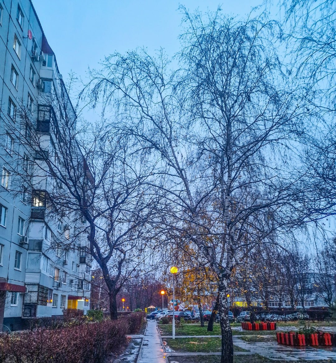 Что принесёт суббота? Ответили звёзды