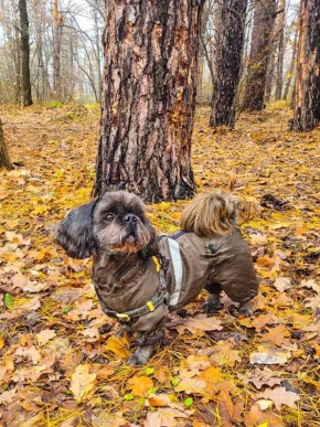 Ни один день недели не может сравниться с воскресеньем в плане уюта