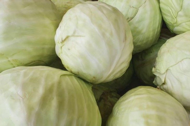 Как хранить разрезанную капусту: не увянет, а останется сочной и сладкой