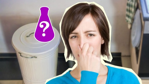 Мусорное ведро перестанет «благоухать»: дешевый порошок справится с запахами на раз-два