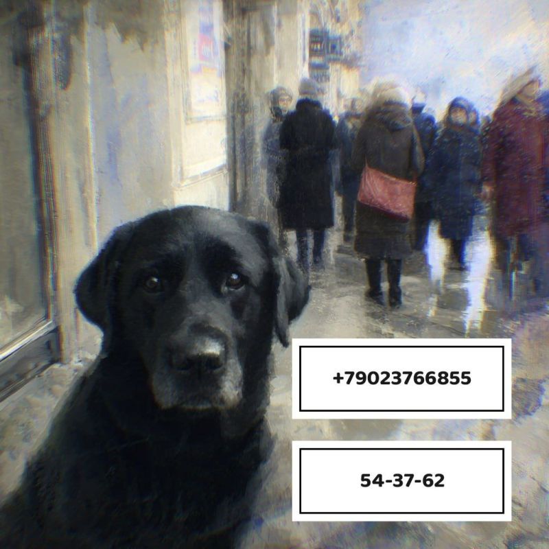       .. ,    ,         ,    :