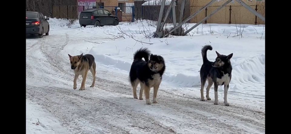       .. ,    ,         ,    :