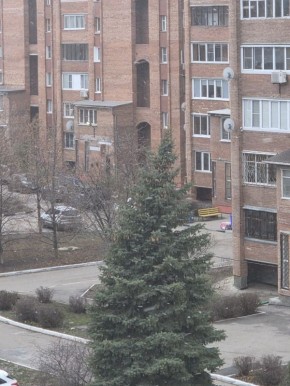 Водители и пешеходы, внимательно смотрите по сторонам