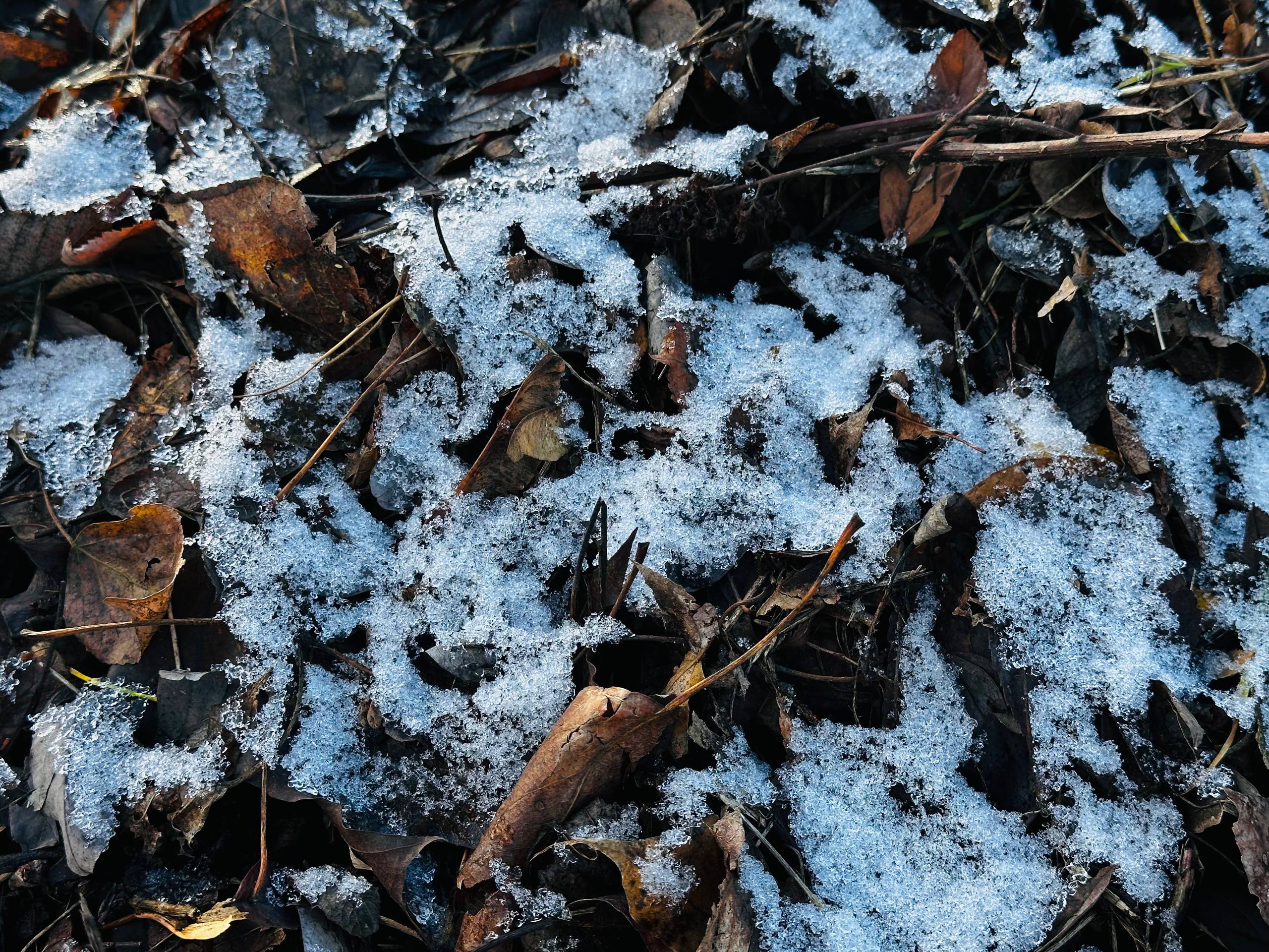 Новая неделя - новые достижения! Доброе утро, Тольятти! Расскажем о погоде на сегодня: