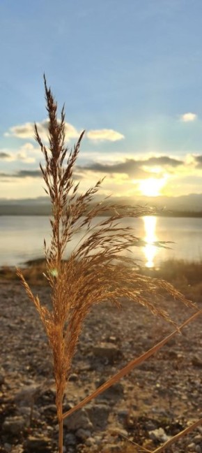 Доброе утро, Тольятти!. На календаре 25 ноября