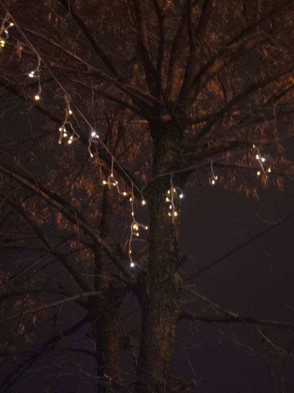 ������ ������ ���� ���������� �������� ������������