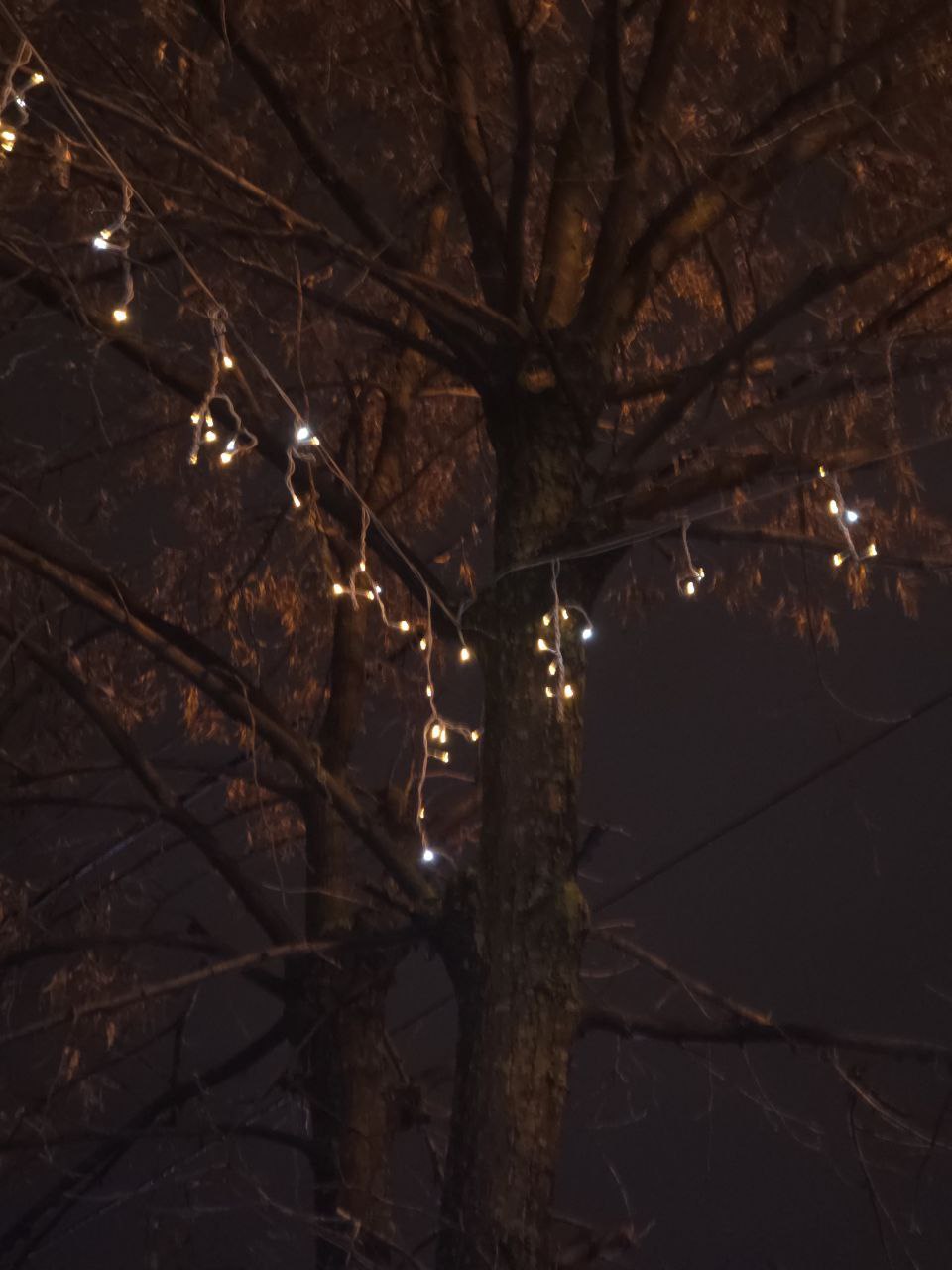 Первая неделя зимы закончится плюсовой температурой