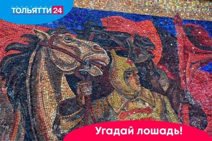 «Угадай лошадь!» Раскрываем секрет предыдущего фото в нашей игре