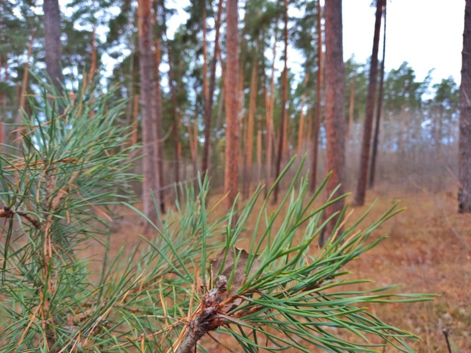 ������ ����, ��������!. �� ��������� 8 �������