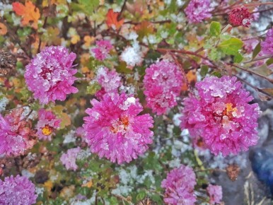 Доброе утро, Тольятти!. На календаре 11 декабря