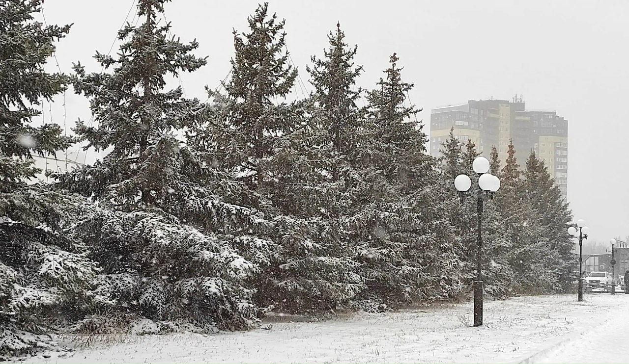 За один день Тольятти шагнул в настоящую зиму! В середине декабря, вот сюрприз За один день Тольятти шагнул в настоящую зиму! В середине декабря, вот сюрприз