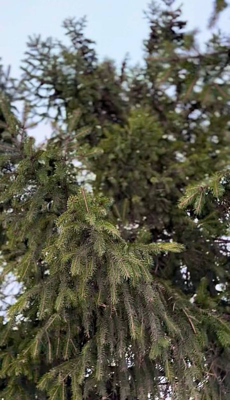 ���� ������, � ������ ����� ������ � � ��� �����! ������� ������ �� �������: