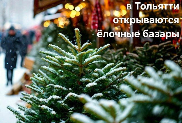 ������� ������ � �������� ���������� � 15 �������