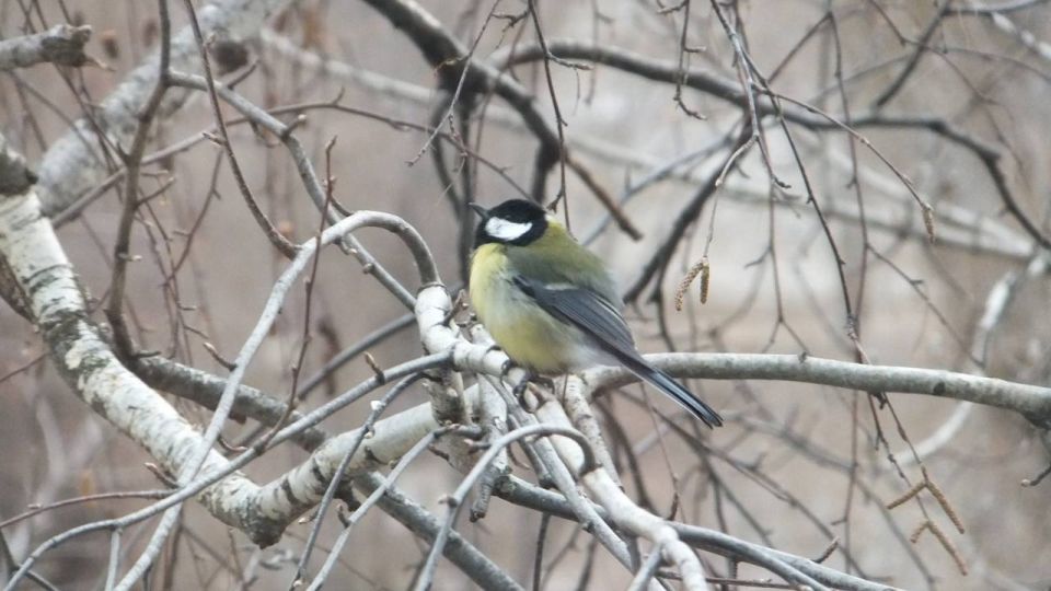 ������ ����, ������!. ������� ��� ��������� �������� ������ � ���������, ������� ��������� ������