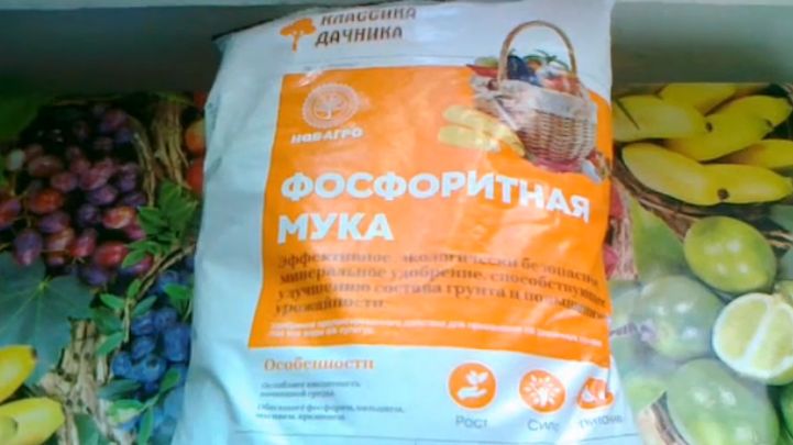 Как избежать лишних трат на удобрения: важные советы по использованию фосфоритной муки