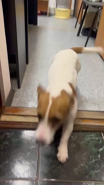 ������� ������ � 5 ��������!