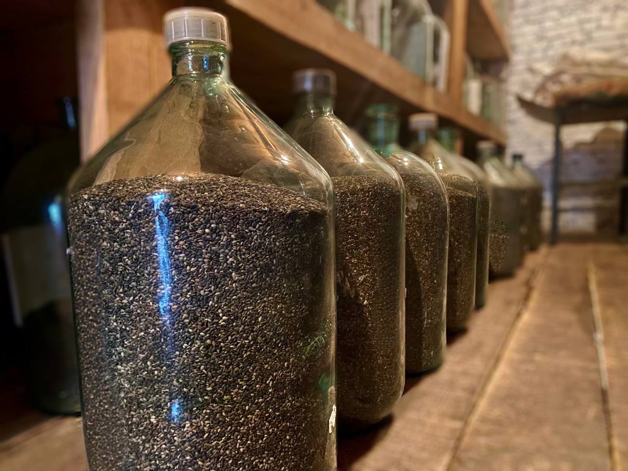 Куда делись шишки? Уехали сушиться! Куда делись шишки? Уехали сушиться!