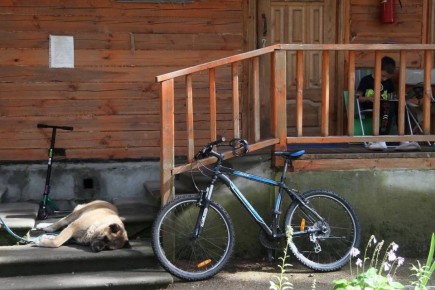 Самарский областной суд поддержал решение о возвращении пионерлагеря «Чайка» в госсобственность