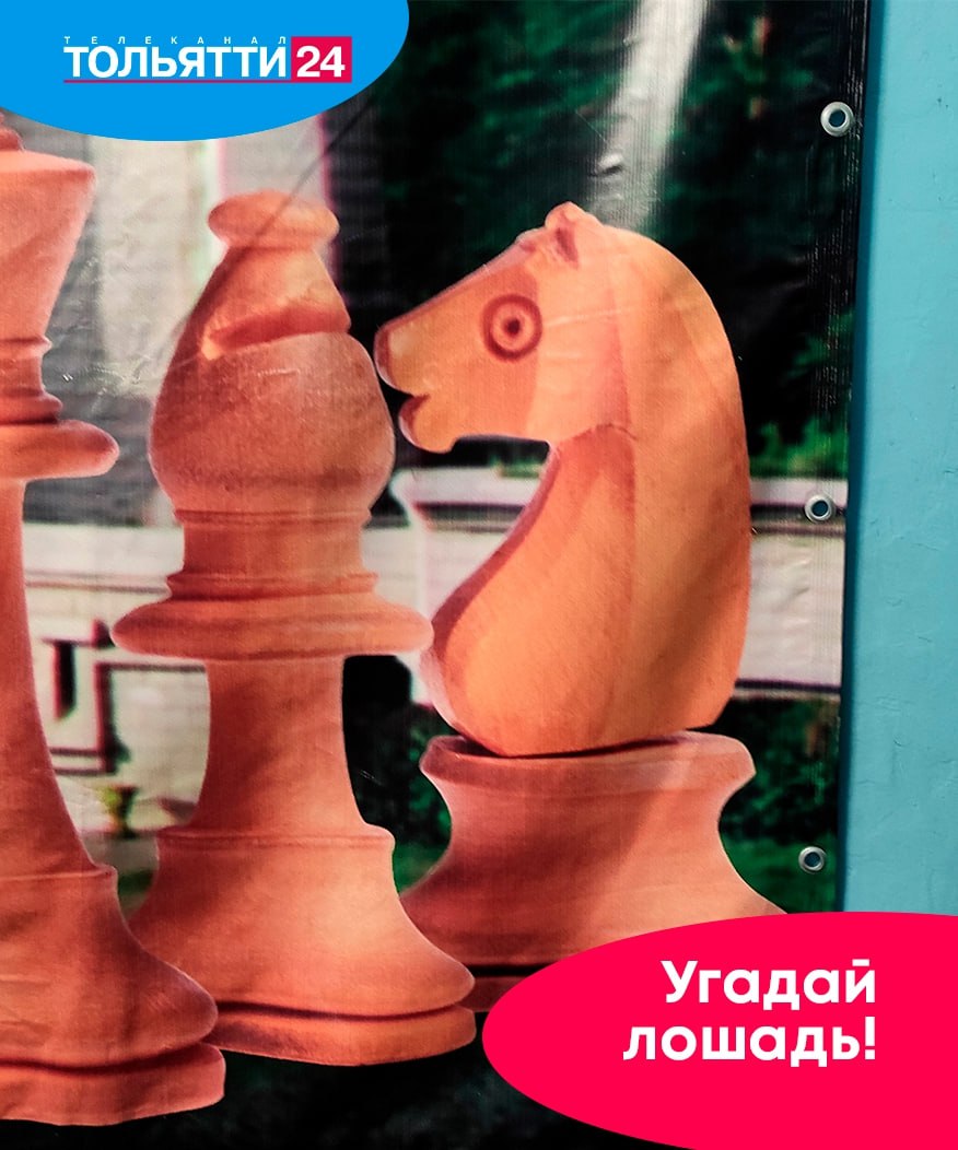 «Угадай лошадь!» Раскрываем секрет предыдущего фото в нашей игре