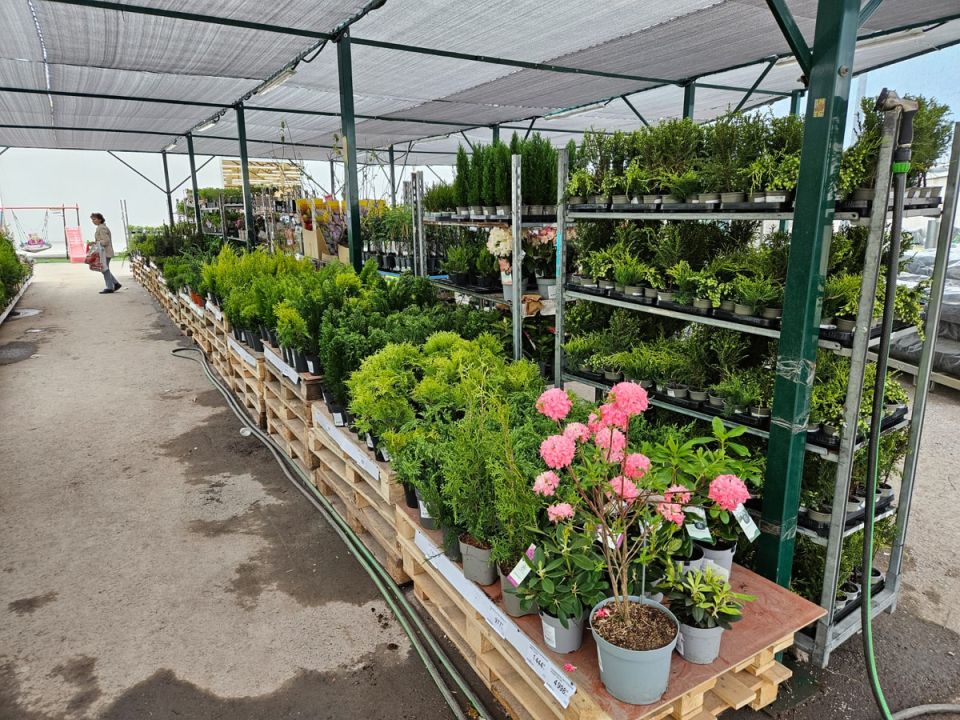 ��������� ��������: ��� ����� ������������ ������� � ������� ��� ������� ������