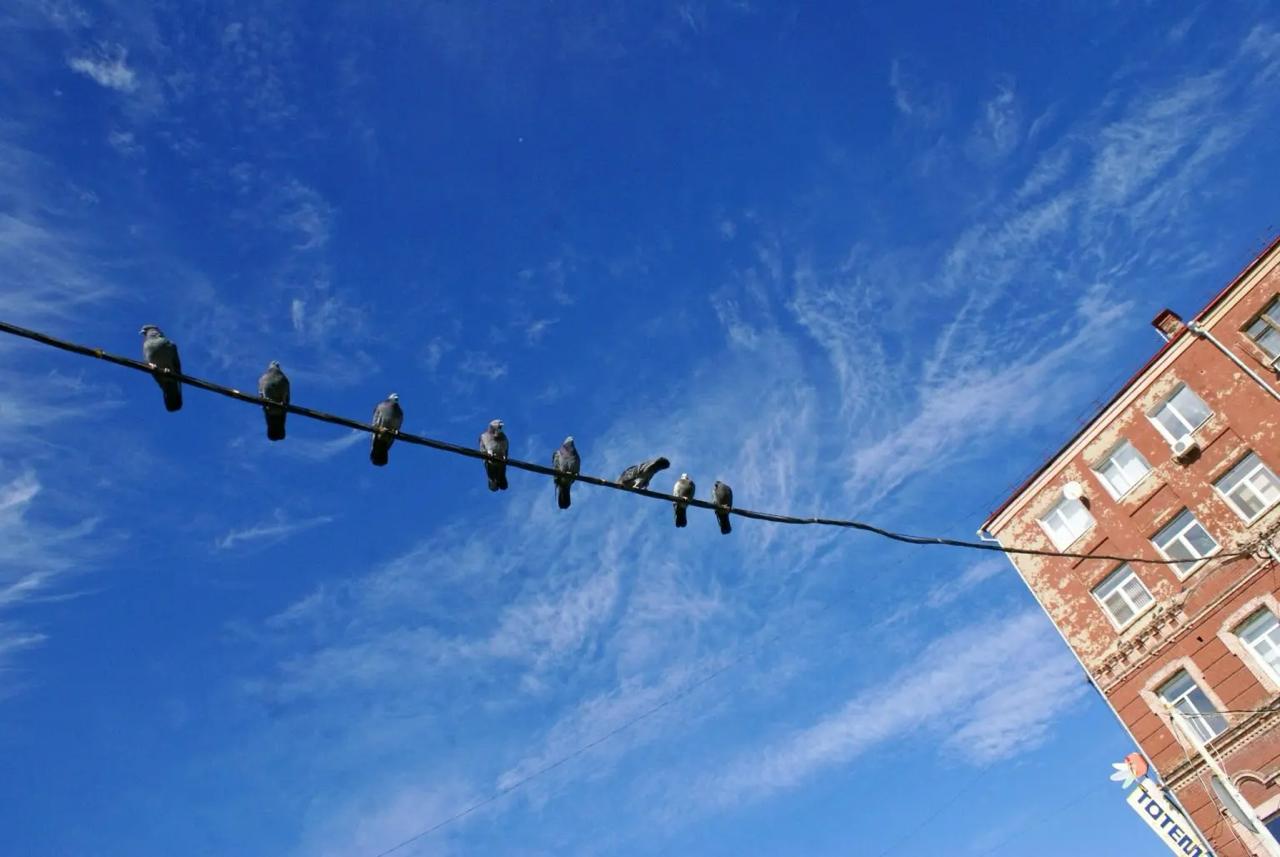 Мэр Тольятти опроверг слухи об эвакуации после атаки БПЛА в Самарской области