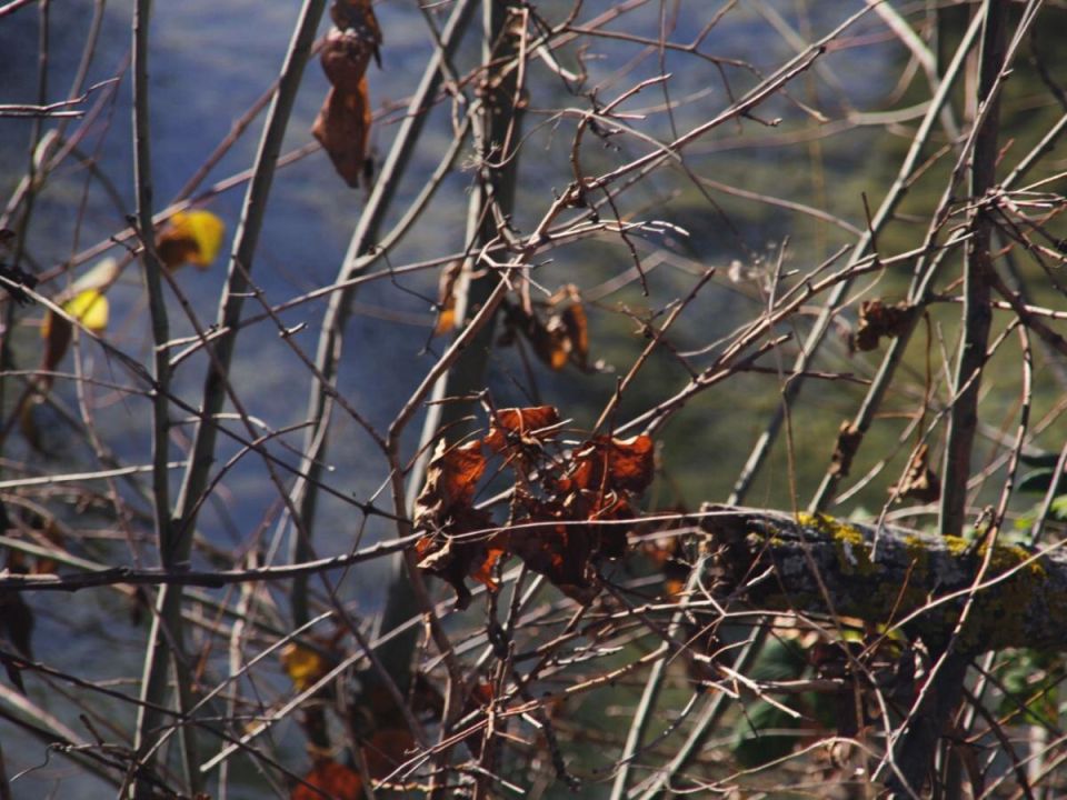 ��� ��������� ������� ��� ������: ������ ���������