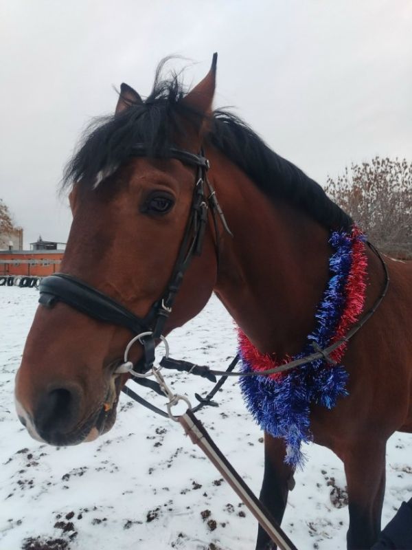 ���������� ���� �� ����� ������ ��� ��������� � ������ 2026 ���� � ������ ������������ �������� ��������� � ��������� ����������