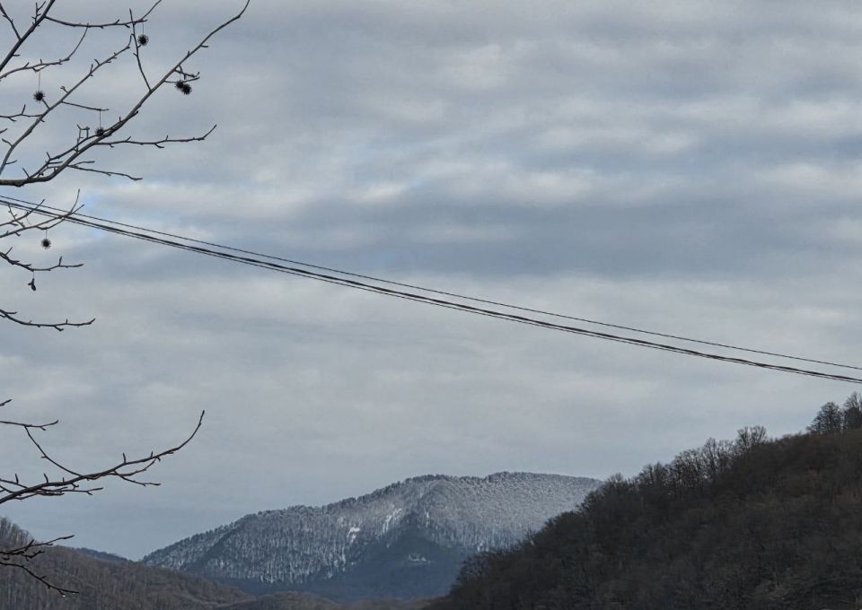 � ��������� ������� �������� ������ ������� ��������� ��-�� �������� �����