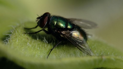 � ����� � �������� �������� ��������: ���� ������� � ����� �������� ���������