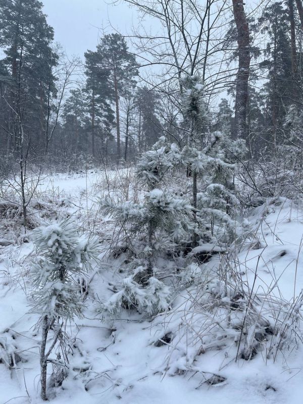 ������ ����, ��������. � ������� �������� ������ ������� ���������