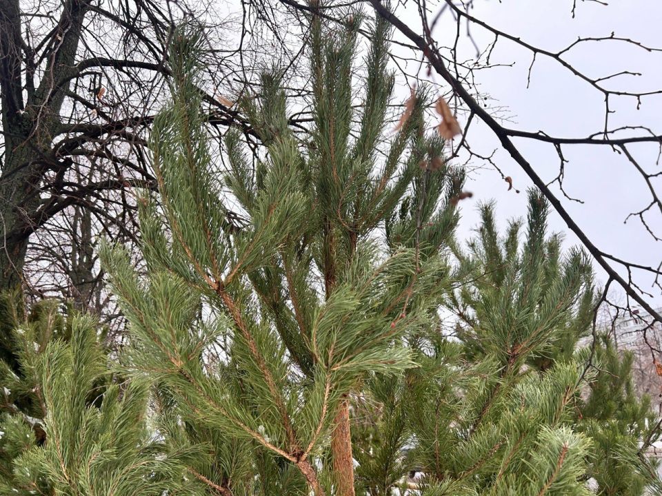 ���� �������: ������������, ��� ������� ����� ��� � � ����� ����� ��� ��������� ������������