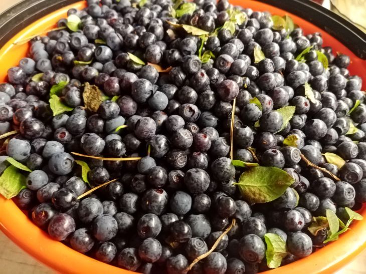 �� ��������� ����� �� ��������� � �����: ������� �������� ������� ������ ���� �� �������� ����