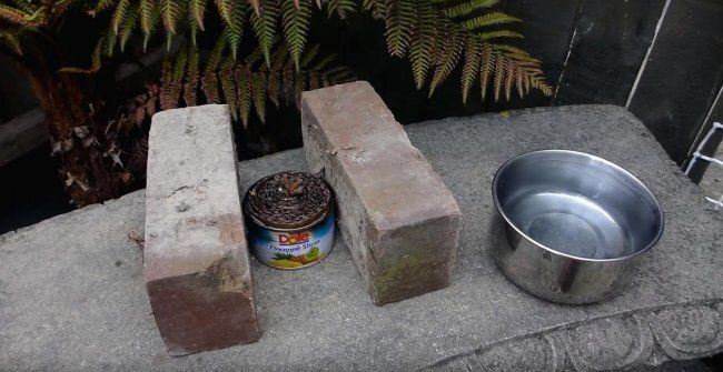 �������� ����������� ����-�����: �������� ������� ��� ���������� ��������