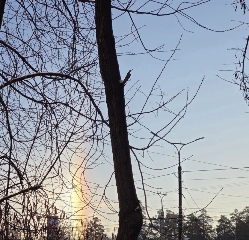 ������ ���� �������� �������� ������ � ��������