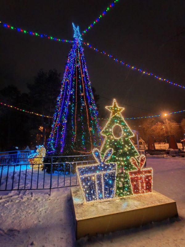 ������ ����, ��������!. �� ��������� 24 �������