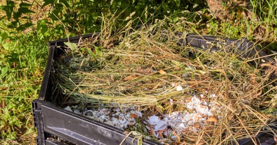 Минприроды РФ разъясняет статус растительных отходов в системе ТКО