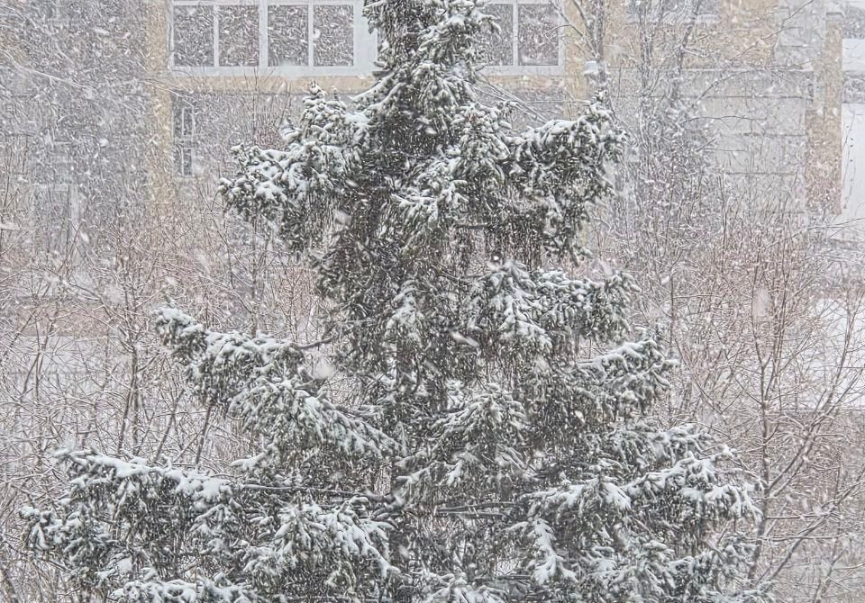 ������� ������ ��� �������� �������