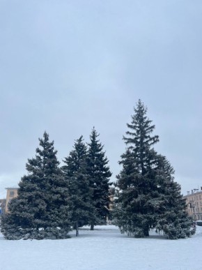 ������ ����, ��������!. �� ��������� 29 �������