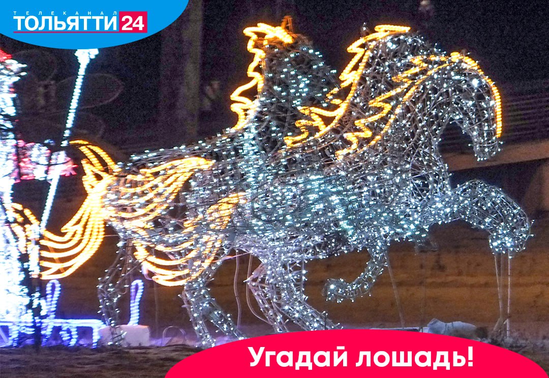 «Угадай лошадь!» Продолжаем игру в преддверии Года Лошади!