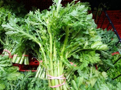 ������� ����������: ��� ��������� �������� � �������� ������ �� ����