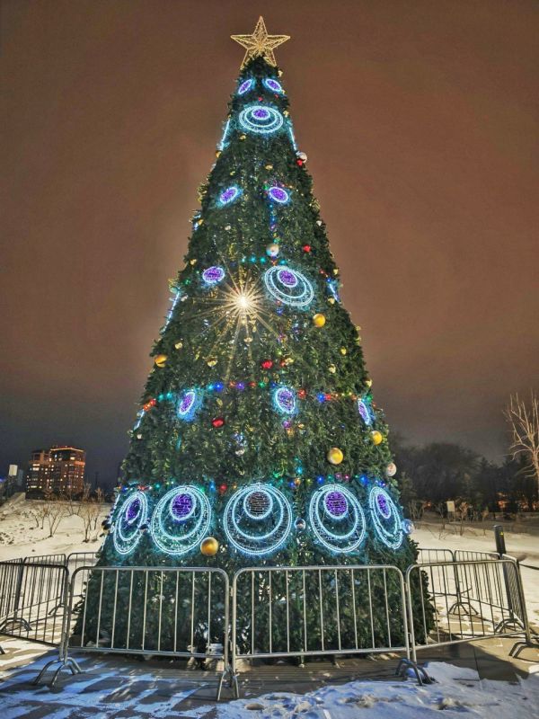 В новогоднюю ночь с 31 декабря с 22.00 на 1 января до 02.00 для создания праздничного настроения традиционно планируется музыкальное сопровождение в местах установки елей: