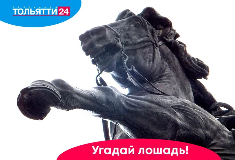 Больше лошадок хороших и разных!