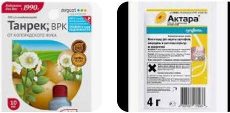 На грядках: как выбрать между актары и танреком для эффективного садоводства