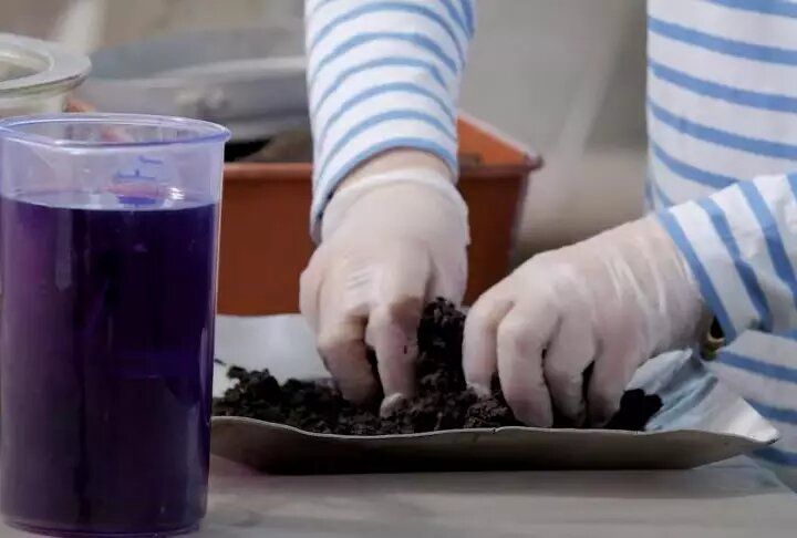 Лунный календарь садовых работ: 3-9 января