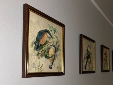 ��� ������� �������� ����������� ���� � ���� ����: ������ �� ����������