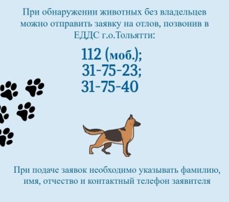 � ���������� ��������� ����������� �������������� ���� ������ �� ����� �������� ��� ���������� �� ��������� ������������� ���� ���������� ������ �������� 112 (� ��������), � ����� 31-75-23, 31-75-40, 48-05-06