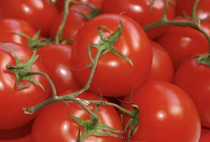 Кистевые томаты: новые варианты для урожая в теплицах и на открытом грунте