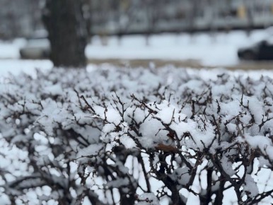 ������ ����, ��������!. �� ��������� 4 ������